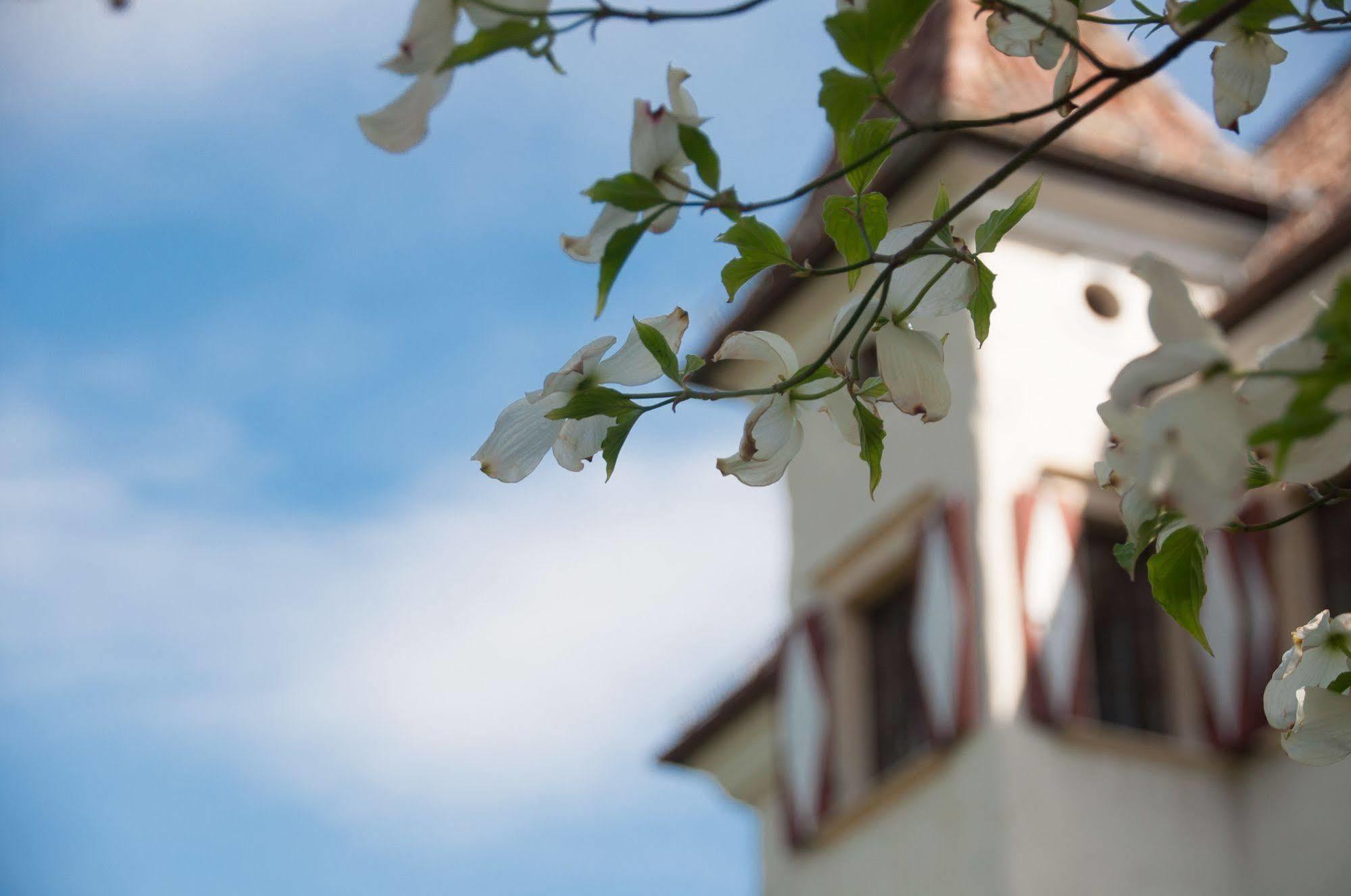 Hotel Castel Rundegg (Adults Only) เมราโน ภายนอก รูปภาพ